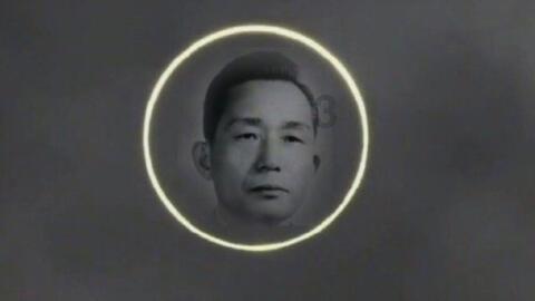 解救可爱的鸭子